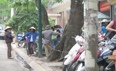 Xuất hiện tình trạng "trộn" sách giáo khoa